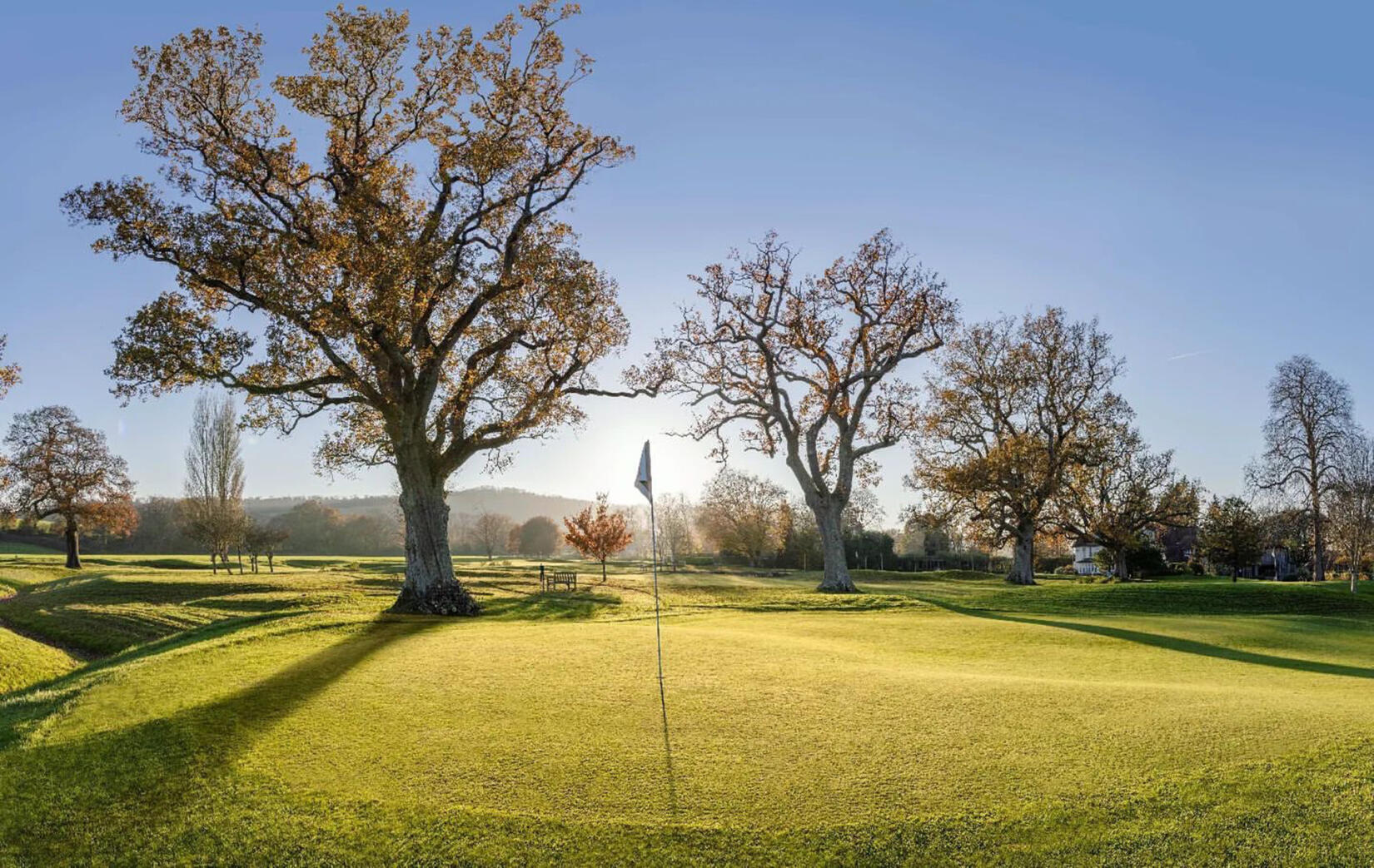An image of the golf course