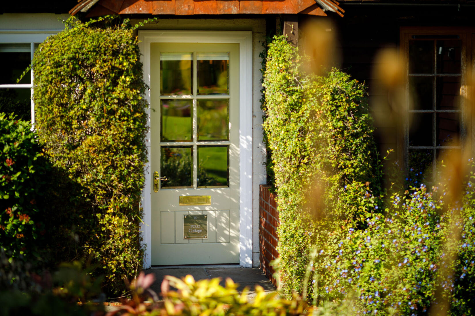 An image of the cottage backdoor