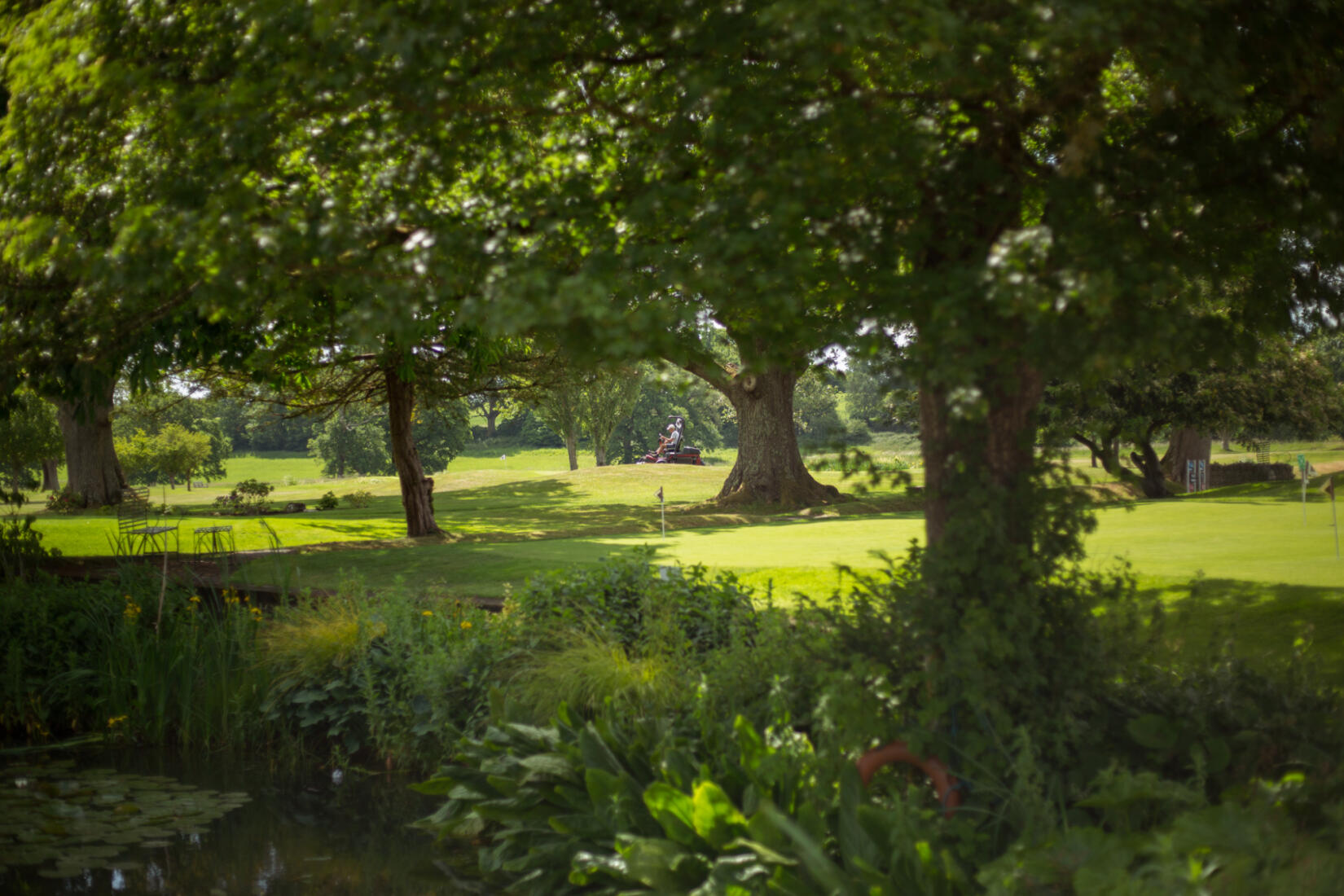 An image of estate grounds and golf course