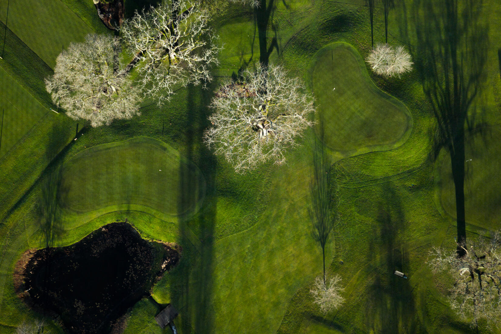 An Aerial shot of the hotel golf course