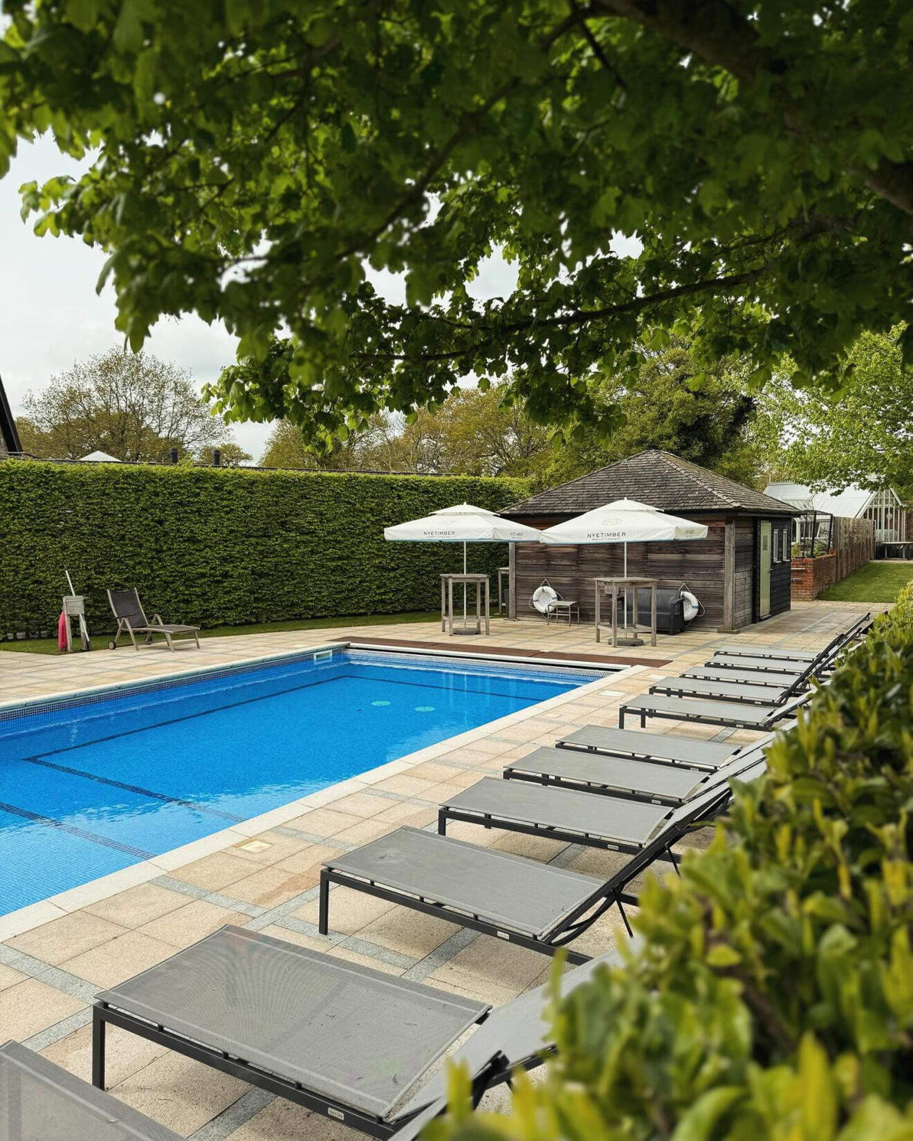 Image of outdoor pool and loungers