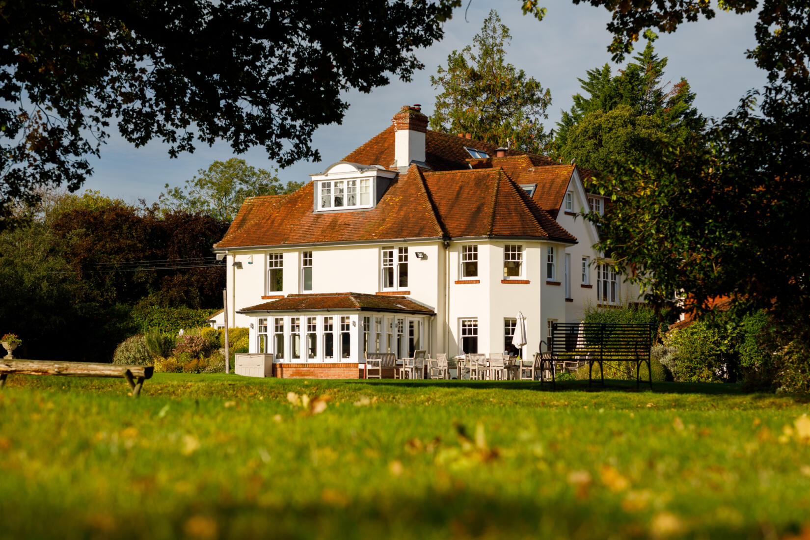 An image of the rear lawn