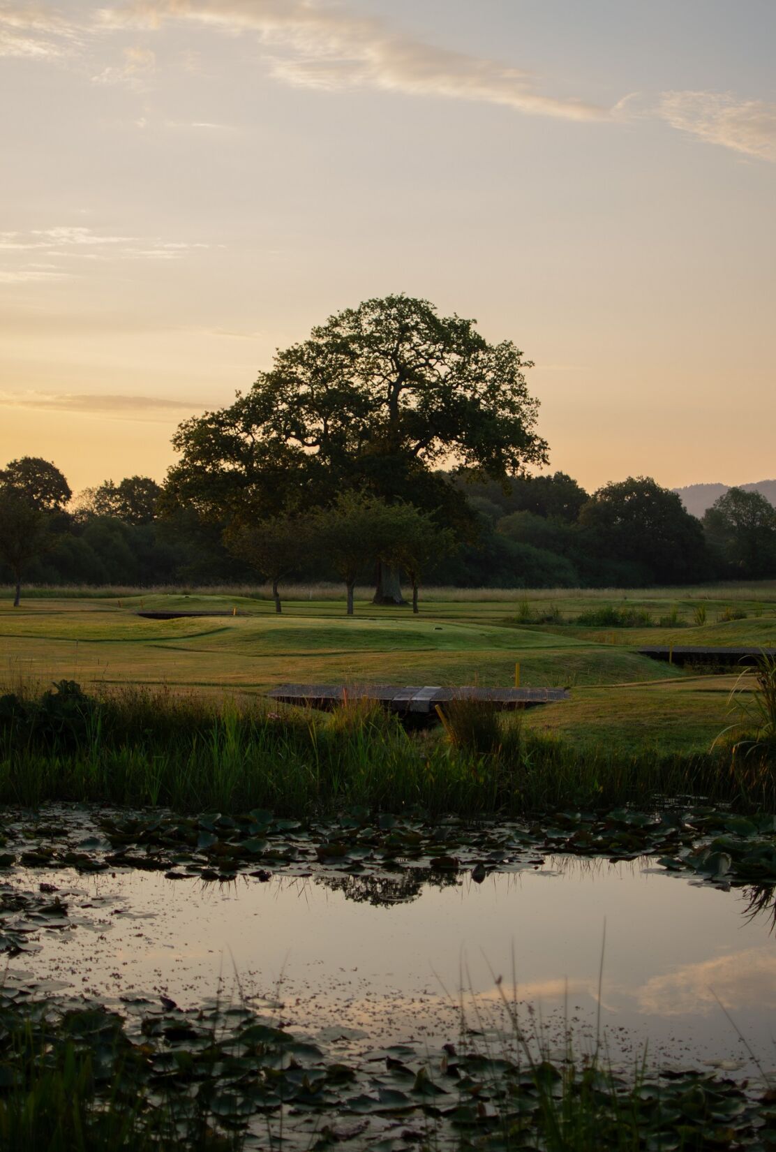 Ground & Gardens - Late Evening Lake shot