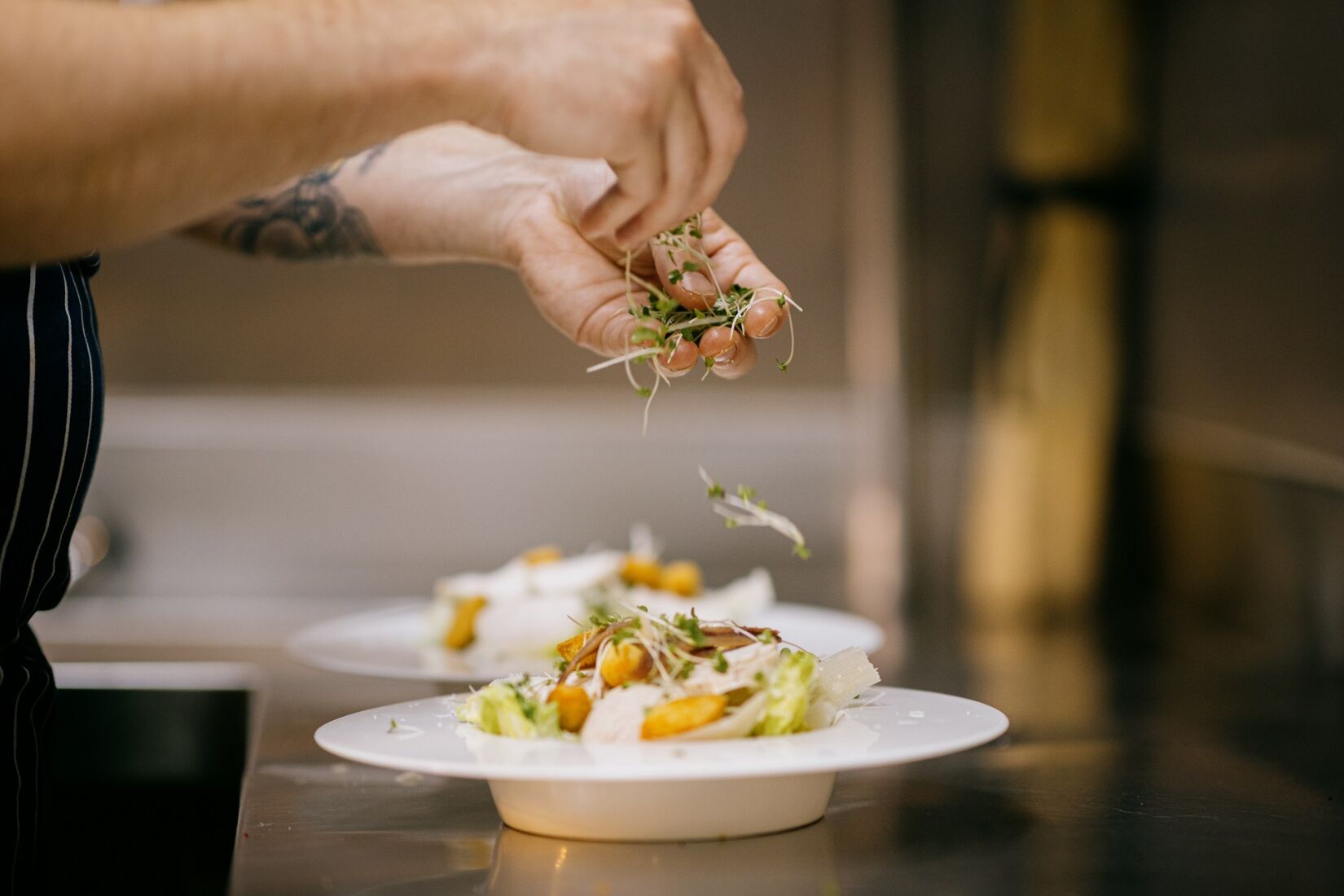 Food & Drinks - Chef garnishing dish