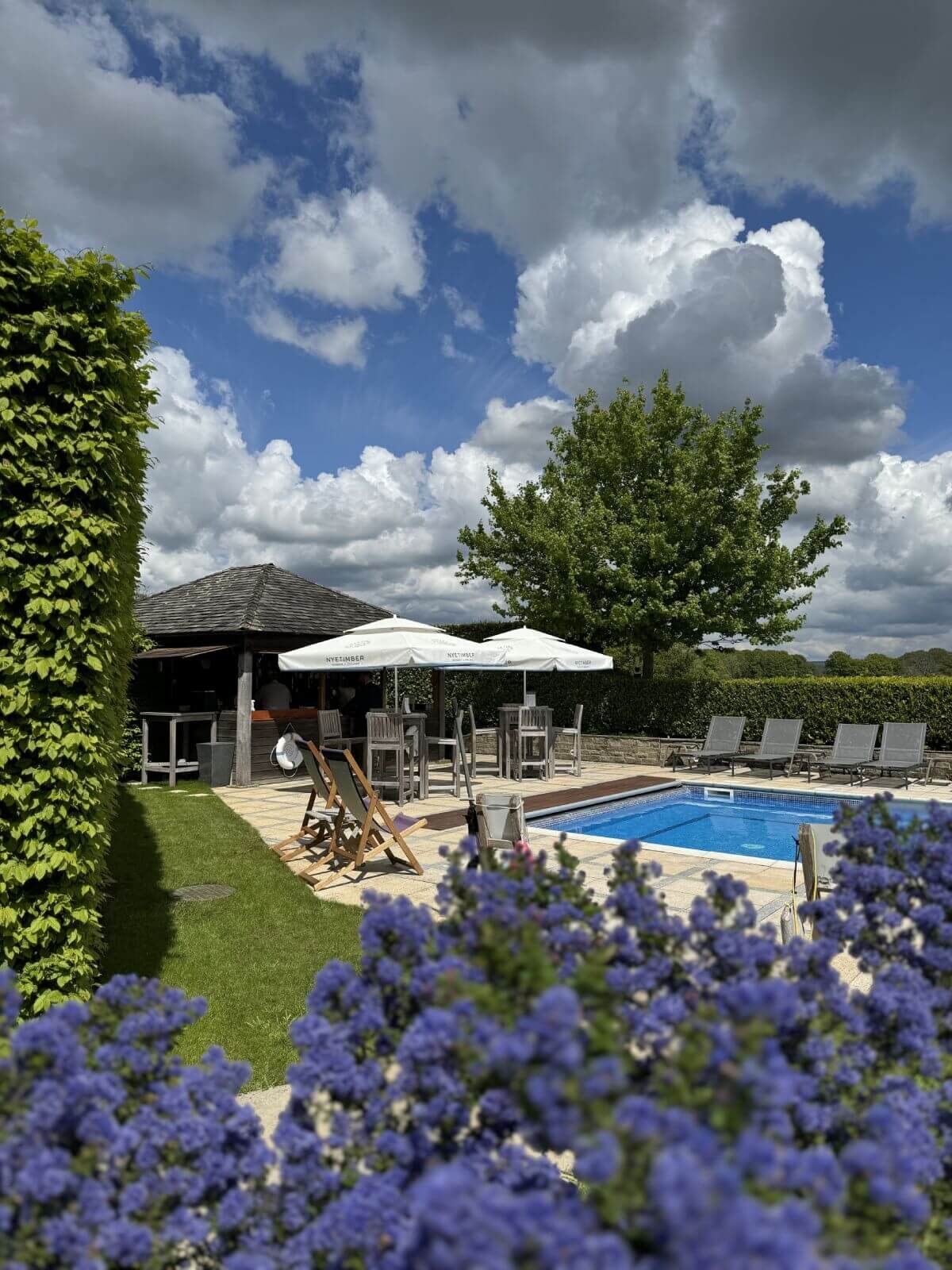 Outdoor Facilities - Poolside garden flowers