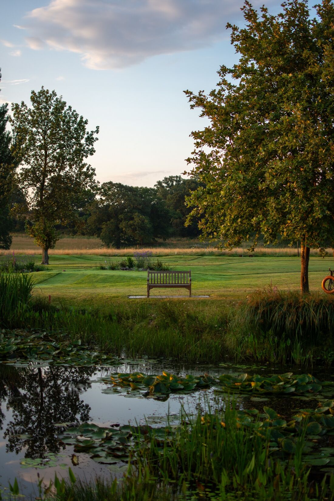 Ground & Gardens - bench at pond