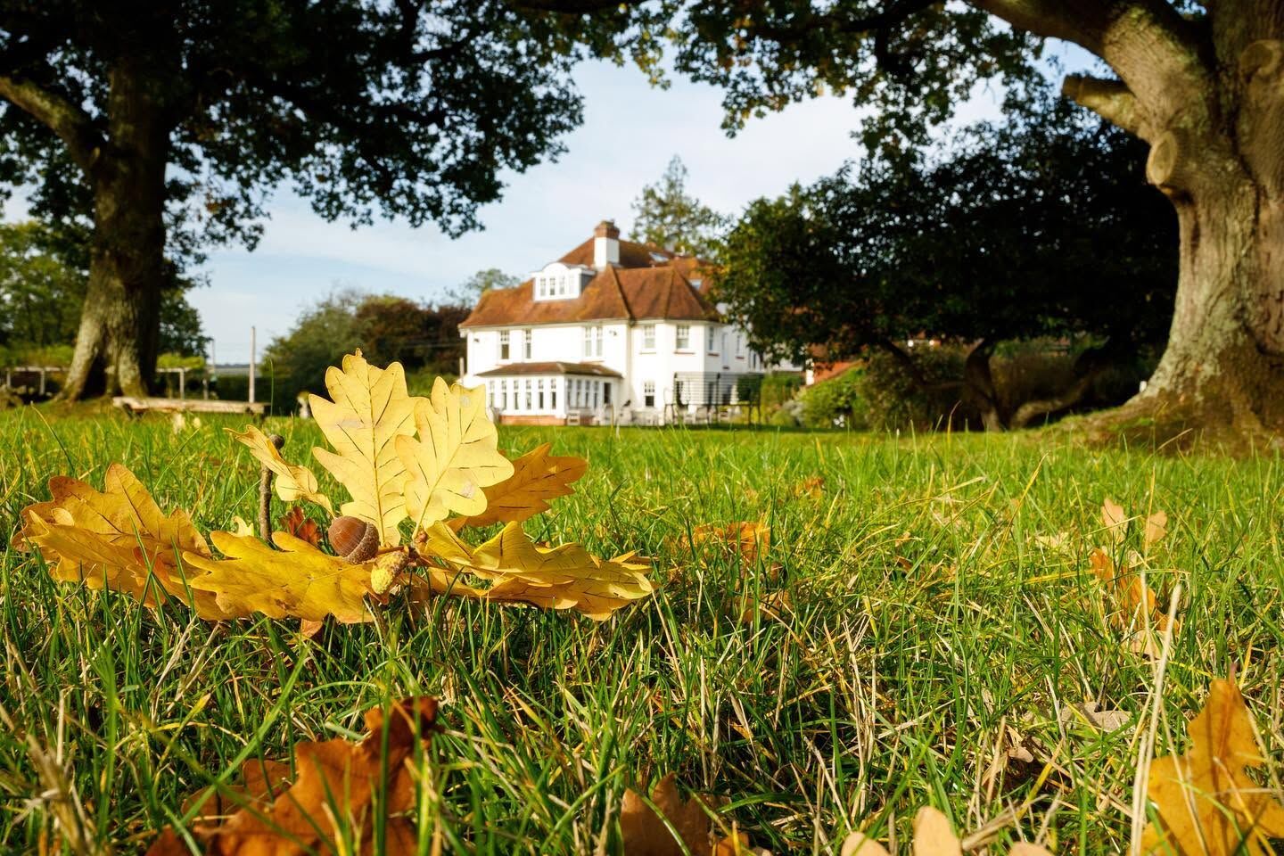 Outdoor Facilities - Autumn Season